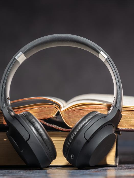 1. Services_Hörbuch_Hörspiel 1. Services_Hörbuch_Hörspiel